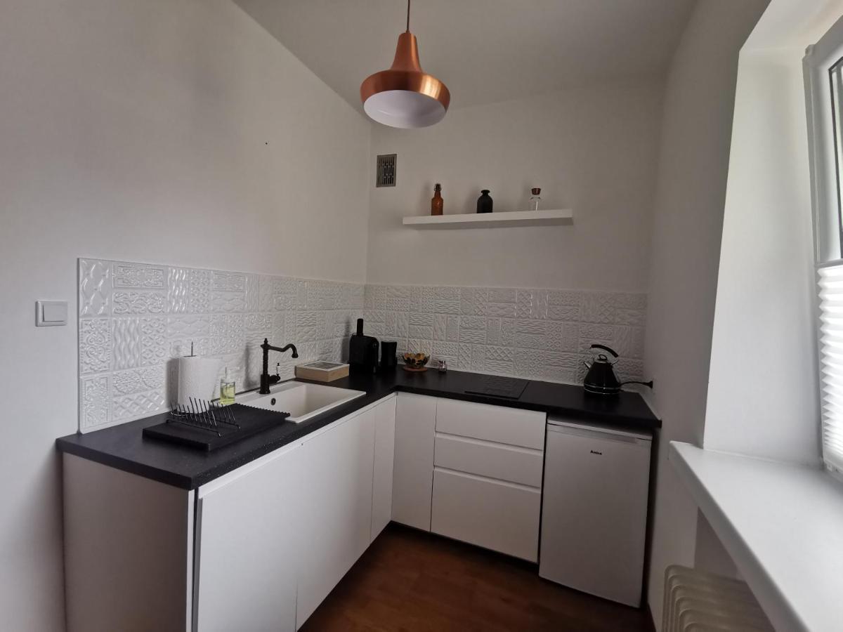 Apartament Skorpion Centrum サノク エクステリア 写真